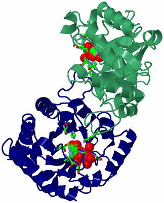 Image Asym./Biol. Unit - sites