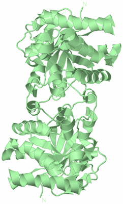 Image Biological Unit 3