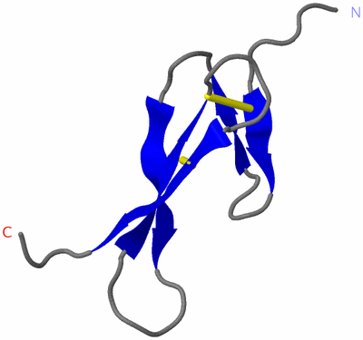 Image NMR Structure - model 1