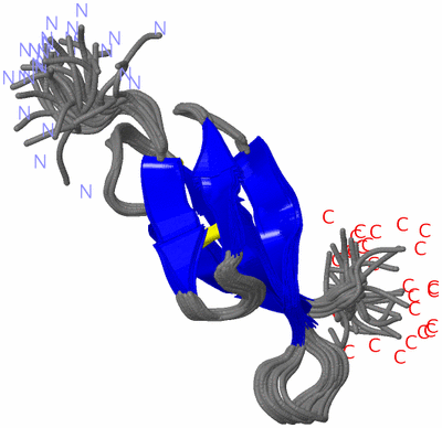 Image NMR Structure - all models