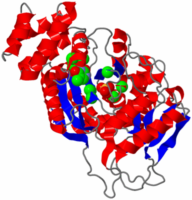 Image Asym. Unit - sites