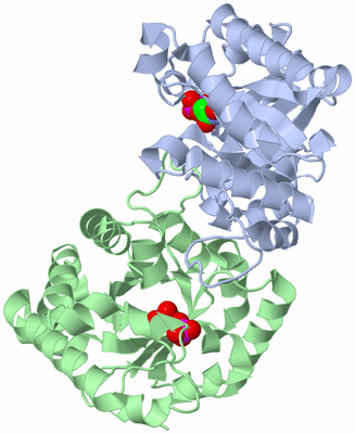 Image Asym./Biol. Unit