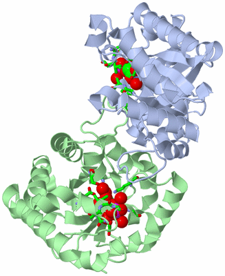 Image Asym./Biol. Unit - sites