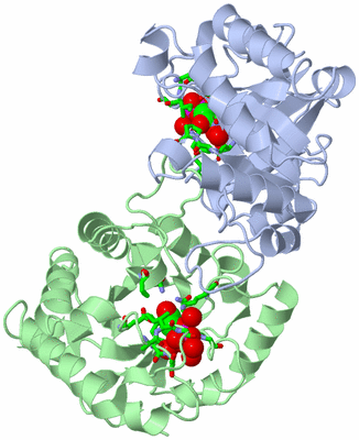 Image Asym./Biol. Unit - sites