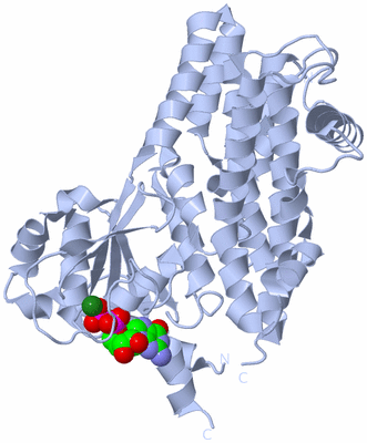 Image Biological Unit 1
