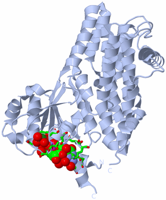 Image Biol. Unit 1 - sites