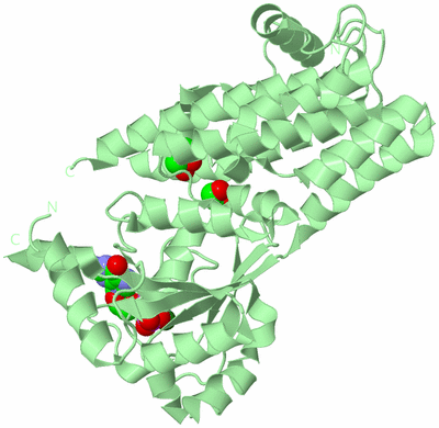 Image Biological Unit 2