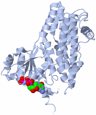 Image Biological Unit 1