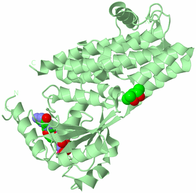 Image Biological Unit 2