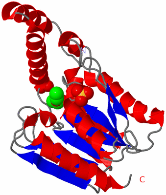 Image Asym./Biol. Unit