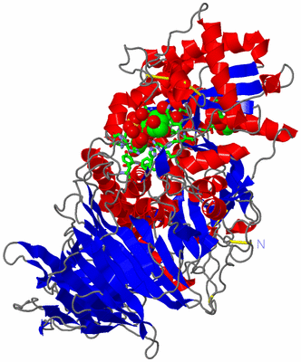 Image Asym./Biol. Unit - sites