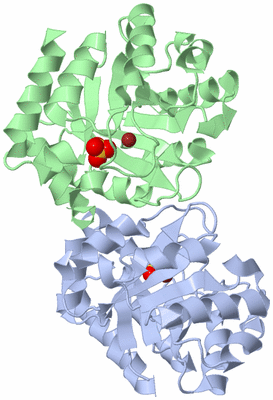 Image Biological Unit 3