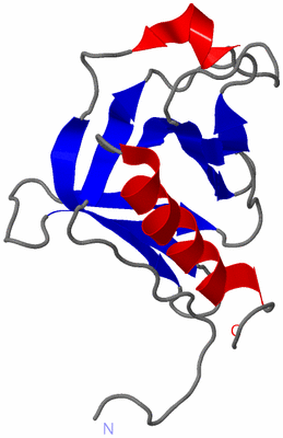 Image NMR Structure - model 1