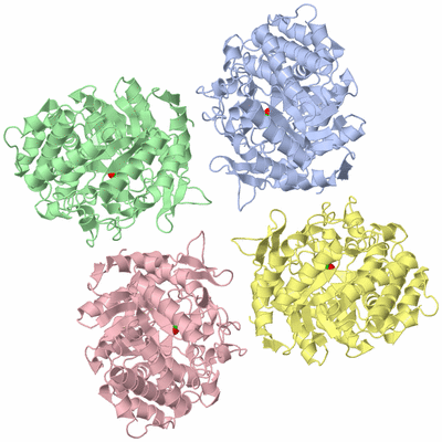 Image Asymmetric Unit