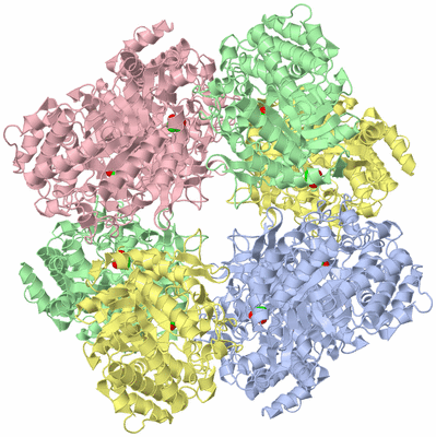 Image Biological Unit 1