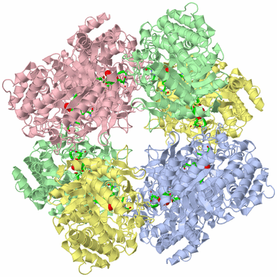 Image Biol. Unit 1 - sites