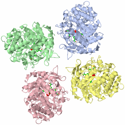 Image Asym. Unit - sites