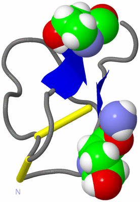 Image NMR Structure - model 1