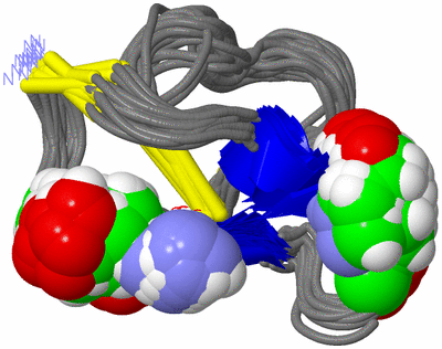 Image NMR Structure - all models