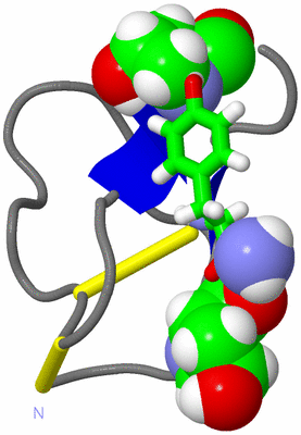 Image NMR Structure - model 1, sites