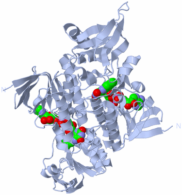 Image Biological Unit 1