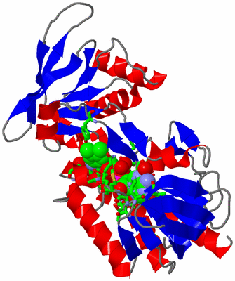 Image Asym. Unit - sites