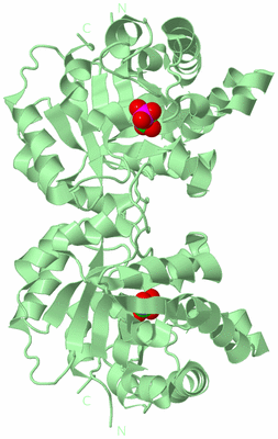 Image Biological Unit 3