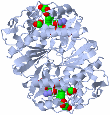 Image Biological Unit 1