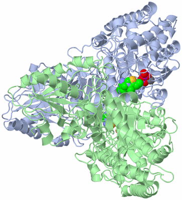 Image Asym./Biol. Unit