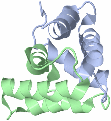 Image NMR Structure - model 1