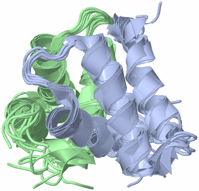 Image NMR Structure - all models