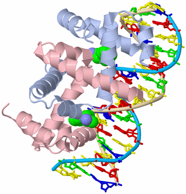 Image Biological Unit 1