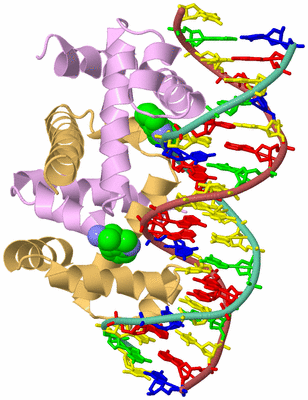 Image Biological Unit 2