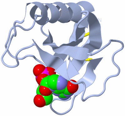 Image Biological Unit 1