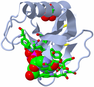 Image Biol. Unit 1 - sites