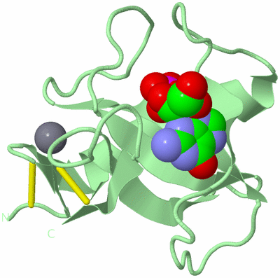 Image Biological Unit 2