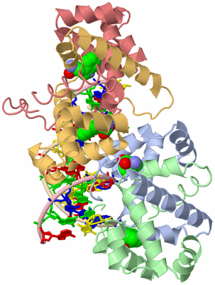 Image Biological Unit 1