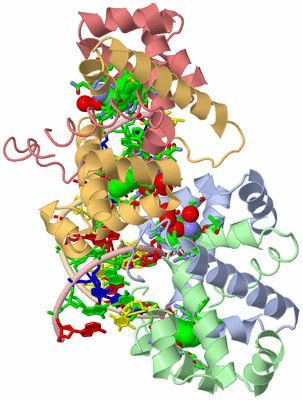 Image Biol. Unit 1 - sites