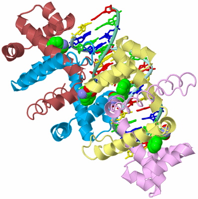 Image Biological Unit 2