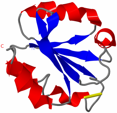 Image NMR Structure - model 1