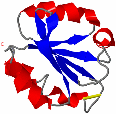 Image NMR Structure - model 1