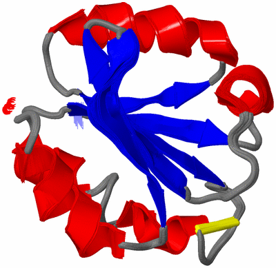 Image NMR Structure - all models