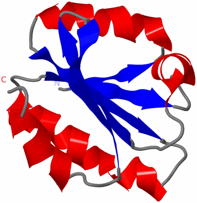 Image NMR Structure - model 1