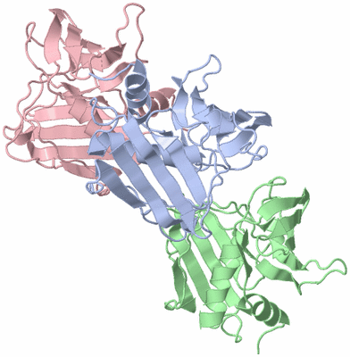 Image Asymmetric Unit