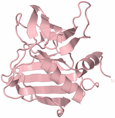 Image Biological Unit 3