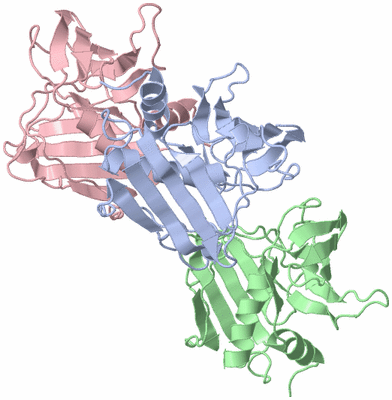 Image Asymmetric Unit
