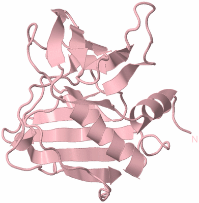 Image Biological Unit 3