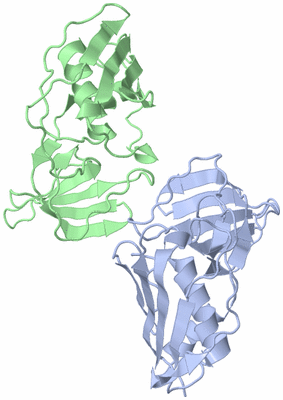 Image Asymmetric Unit