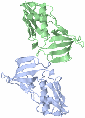 Image Asymmetric Unit