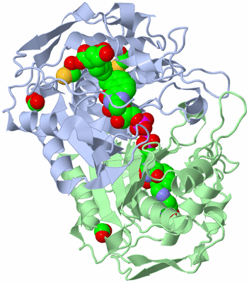 Image Asym./Biol. Unit